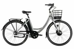Ecoride Ambassador AXS H-Front 7-vxl Silver Dam 2023