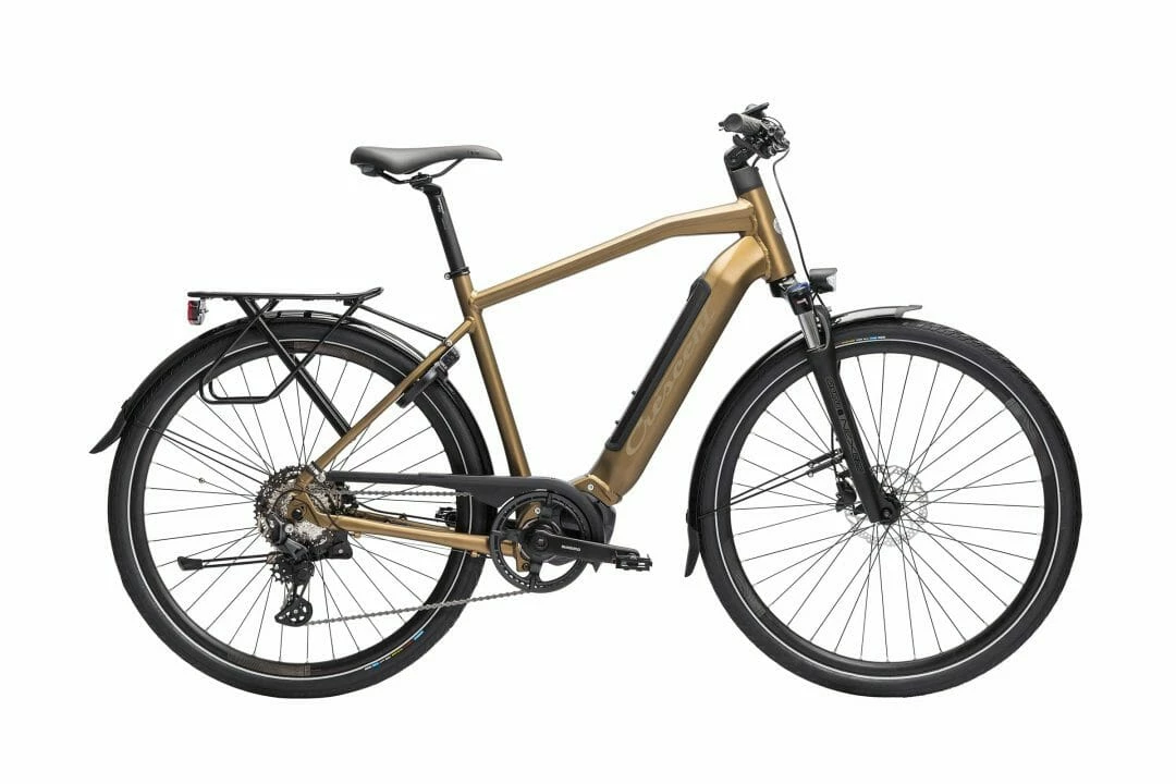 Crescent Elder 20S 10-vxl Brun 2023 3 Crescent Elder 20S 10-vxl Brun 2023