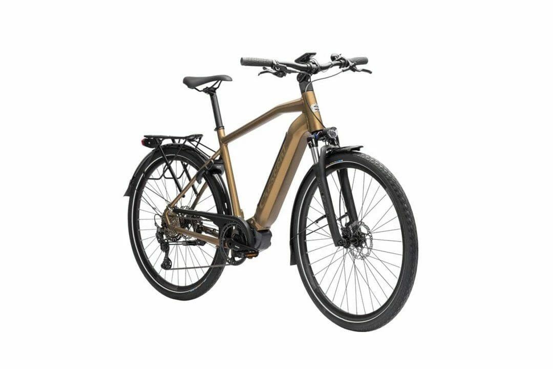 Crescent Elder 20S 10-vxl Brun 2023 4 Crescent Elder 20S 10-vxl Brun 2023 - Bild 2