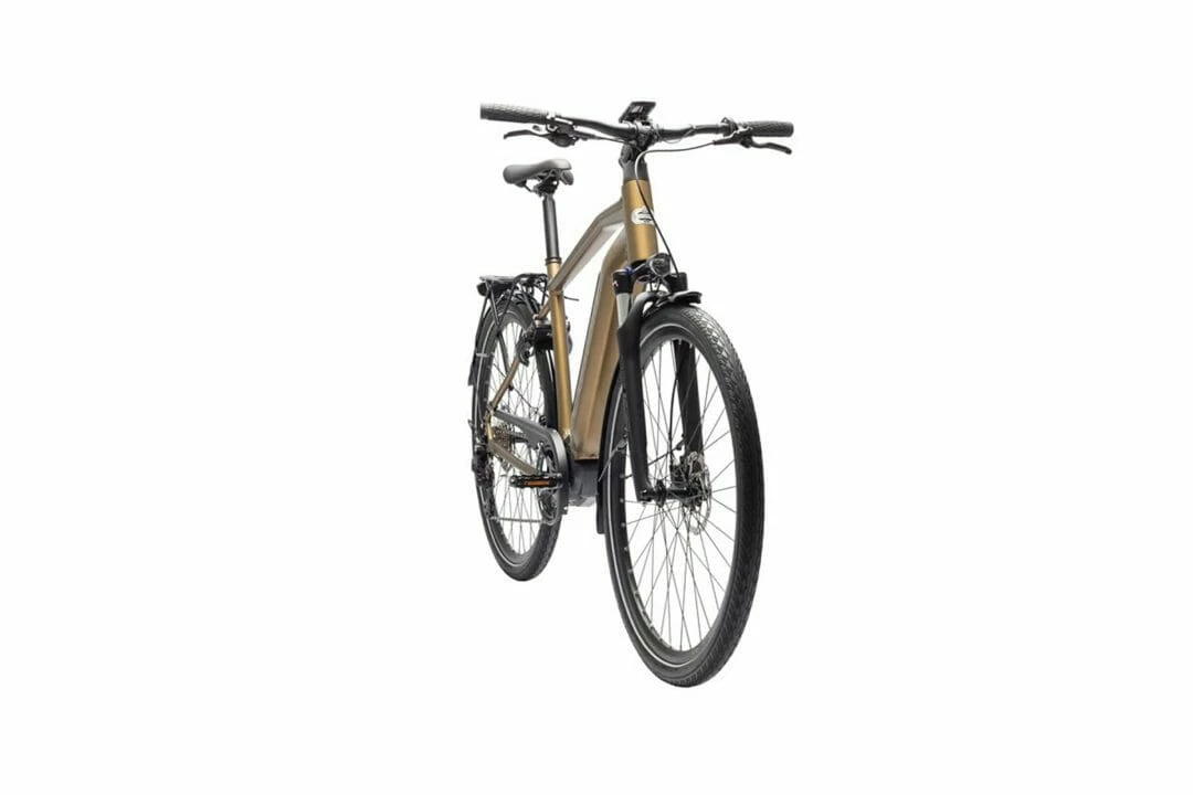 Crescent Elder 20S 10-vxl Brun 2023 5 Crescent Elder 20S 10-vxl Brun 2023 - Bild 3