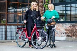 Crescent Elina-X 7-vxl Silver/Beige 2022 7 Crescent Elina-X 7-vxl Silver/Beige 2022 -Elcykel Försäljning YEC937 62Crescent Elina med Elora test 1080x720 2