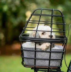 AVS / Atran Velo Lock Atran Duo Till Cykelkorg För Hundar Med Filtinlägg AVS 7 AVS / Atran Velo Lock Atran Duo Till Cykelkorg För Hundar Med Filtinlägg AVS -Elcykel Försäljning hund i korg 1080x1095 1