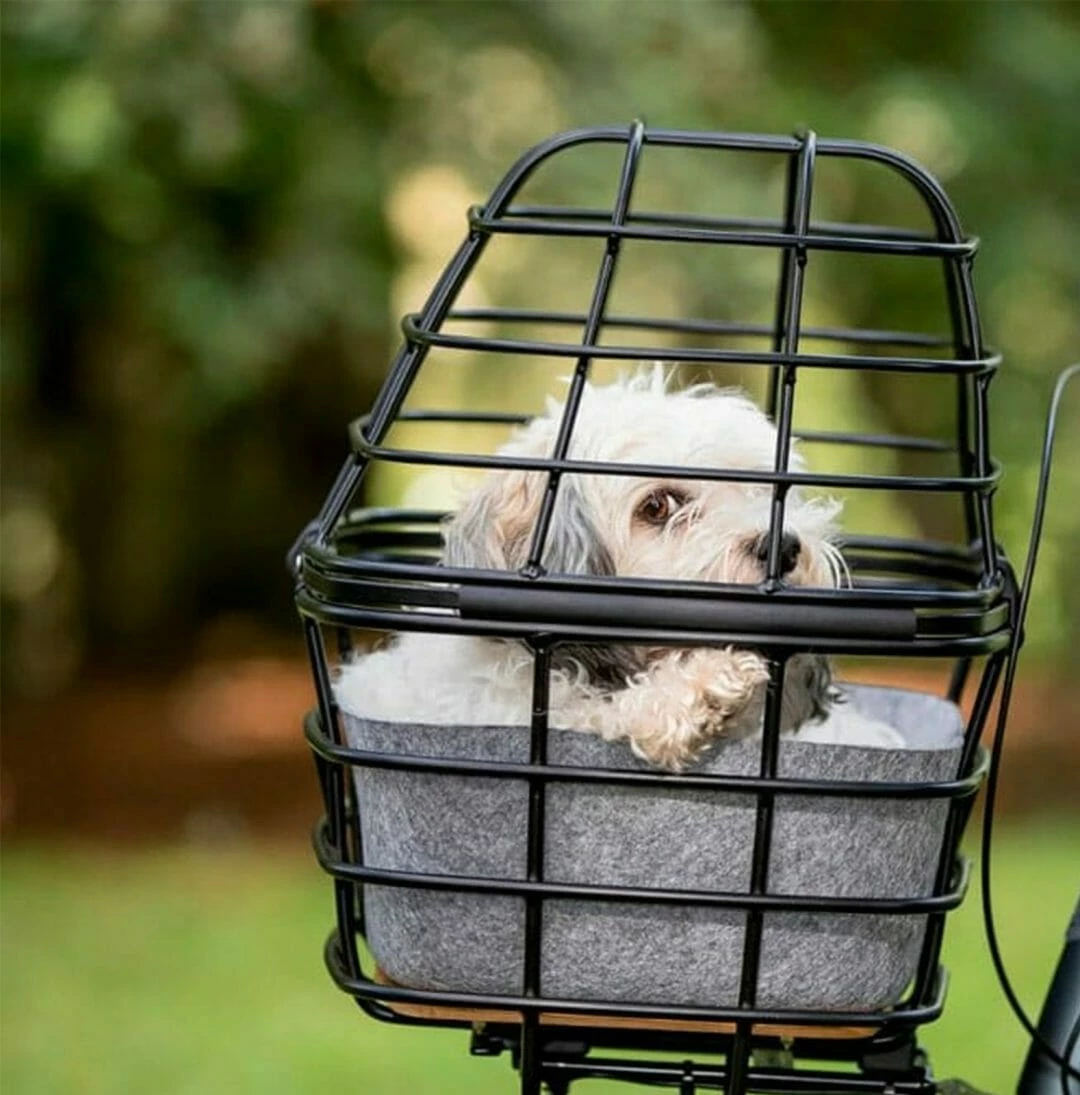 AVS / Atran Velo Lock Atran Duo Till Cykelkorg För Hundar Med Filtinlägg AVS 5 AVS / Atran Velo Lock Atran Duo Till Cykelkorg För Hundar Med Filtinlägg AVS - Bild 3